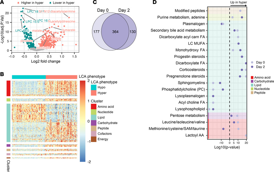 Metabolic profiling of LCA phenotypes (N = 160 patients).
(A) Volcano pl...