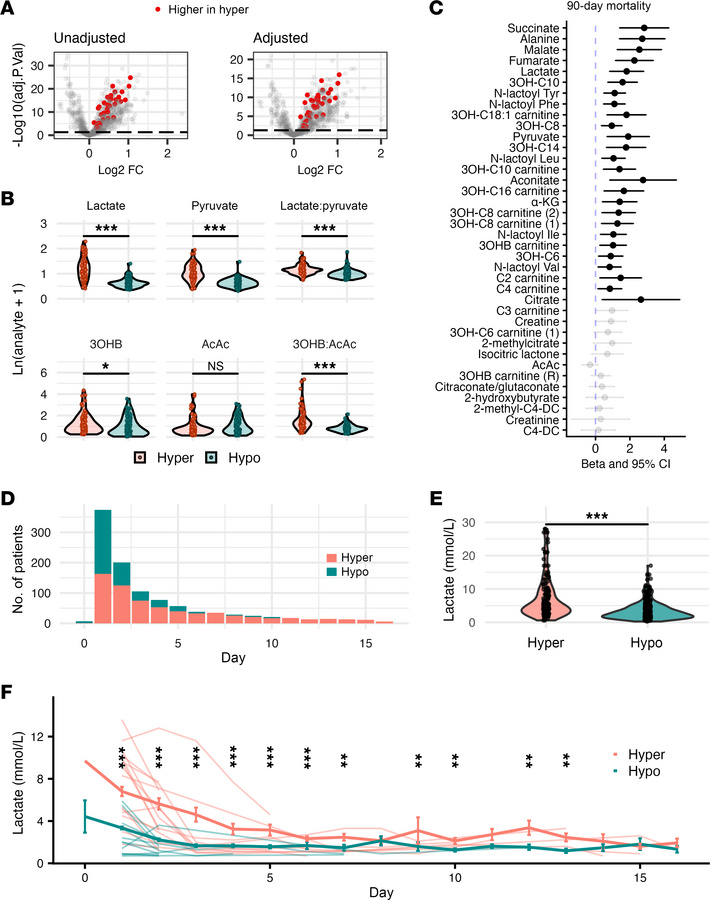Mitochondrial metabolic derangements across LCA phenotypes.
(A) Volcano ...