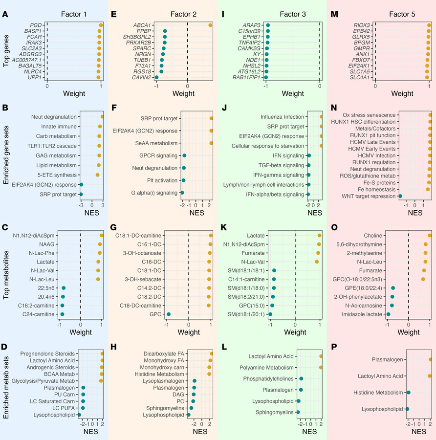 Top features and pathways within mortality-associated MEFISTO factors.
(...