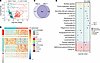Metabolic profiling of LCA phenotypes (N = 160 patients).