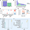 Hypoinflammatory MEFISTO and mortality-associated signature.