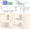 Hyperinflammatory MEFISTO and mortality-associated signature.