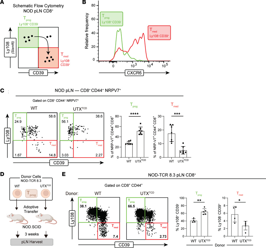UTX promotes Tprog to Tmed conversion of β cell–specific CD8+ T cells.
(...