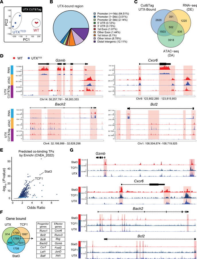 Integrative analysis of chromatin binding, accessibility, and transcript...