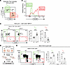 UTX promotes Tprog to Tmed conversion of β cell–specific CD8+ T cells.