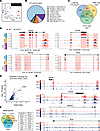 Integrative analysis of chromatin binding, accessibility, and transcription
