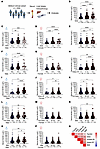 Serum ferritin levels correlate with metabolic parameters in patients with