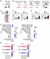 Hepatic FPN deficiency increases the expression of hepatokines, fetuin-A, a