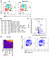 T-Map4k2 cKO mice display a reduction of Treg population.