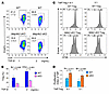Treg differentiation and Treg suppressive function are attenuated by Map4k2