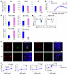 T cell–specific Map4k2-cKO mice display sustained induction of MOG-induced