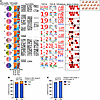 Integrative receptor and gene expression analysis highlights an enriched na