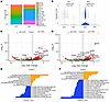 Tissue-dependent gene expression programs of memory CD8+ T cell populations