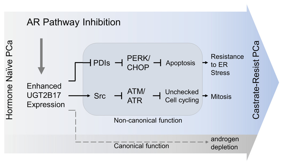 graphical abstract