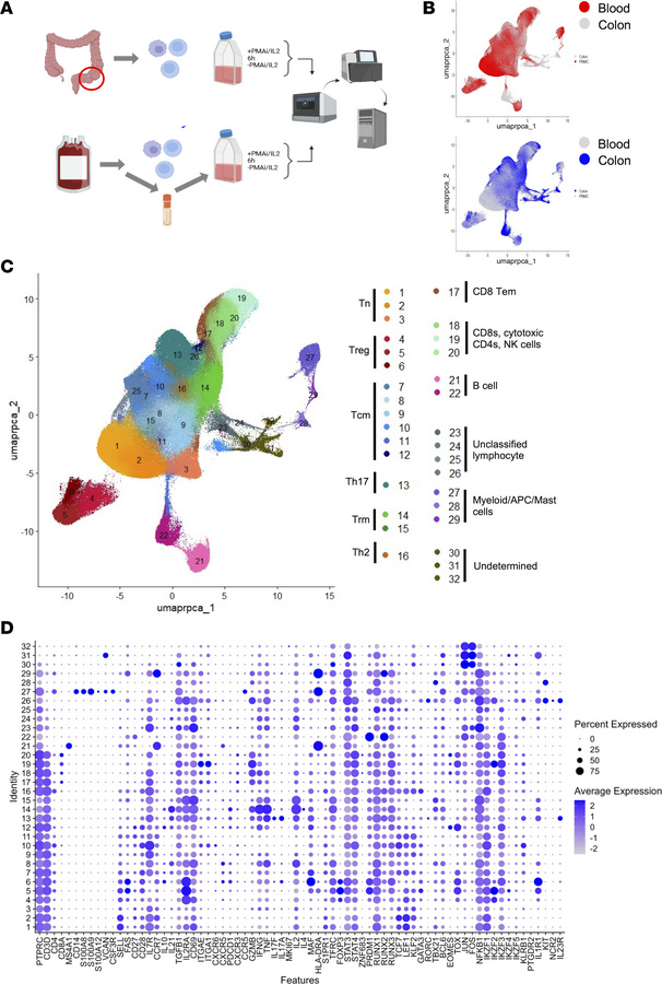 Single-cell proteomic and transcriptomic profiling of colon and blood ce...