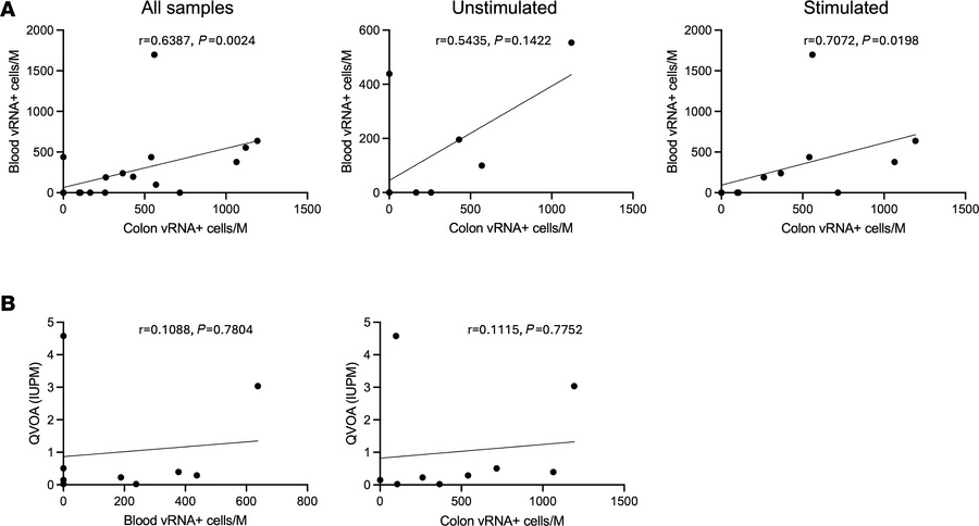 The frequency of vRNA+ cells in the colon is correlated with the frequen...