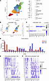 Blood and colon T cells exhibit distinct population abundances and transcri