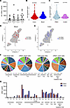 HIV RNA+ cells display heterogeneous phenotypes in the blood and colon of P