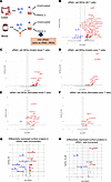 Identification of differentially expressed genes in vRNA+ cells.