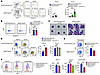 Mettl3 deletion induced apoptosis of CFU-E and cell-cycle arrest of erythro