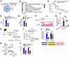 Integrated SLIM-seq/RNA-seq identified Mthfd1 as a Mettl3 target regulating