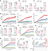 TP53R248Q TCR-T cells specifically recognized and killed TP53R248Q/HLA-A*11