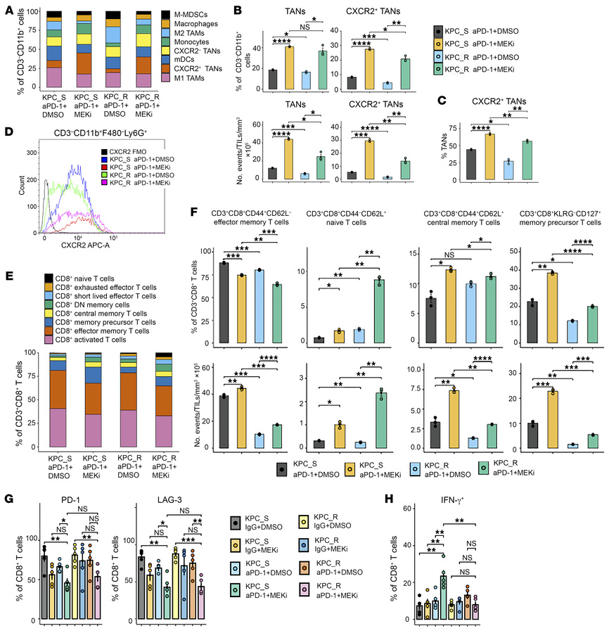 Immunophenotyping reveals the recruitment of TANs in both anti-PD-1 + ME...