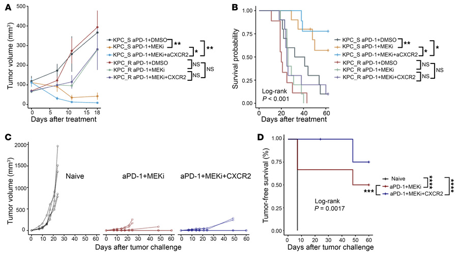 Anti-CXCR2 blocking antibody induces more durable antitumor response fol...