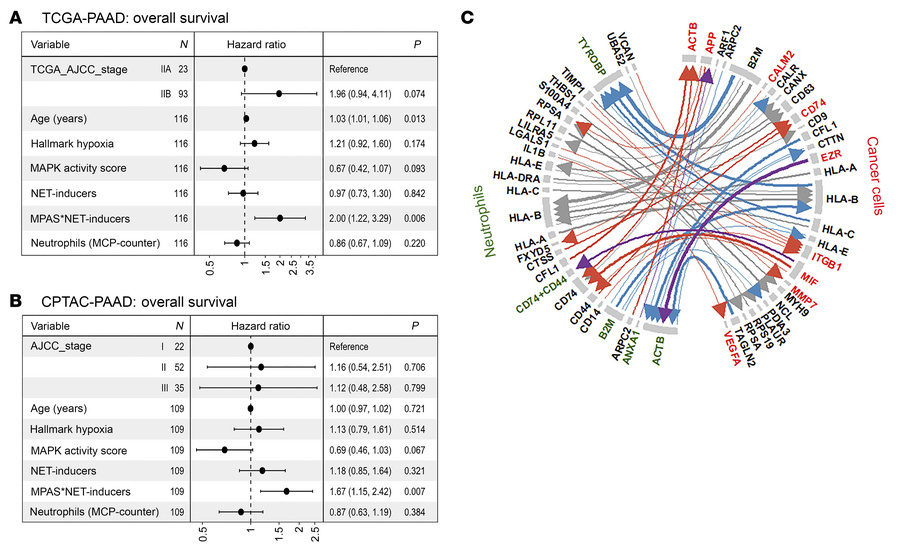 Multivariate cox-hazard model for assessing the survival correlation of ...