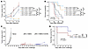 Anti-CXCR2 blocking antibody induces more durable antitumor response follow
