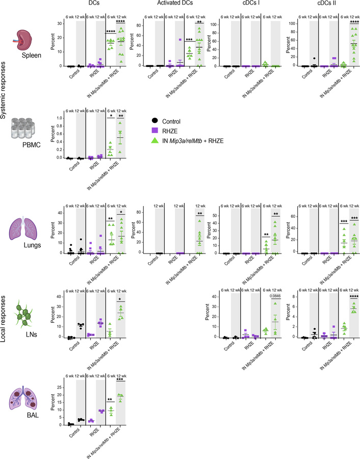 Therapeutic IN Mip3a/relMtb fusion immunization induces sustained DC rec...