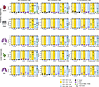 Therapeutic IN Mip3a/relMtb fusion immunization induces durable local and s