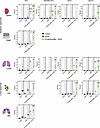 Therapeutic IN Mip3a/relMtb fusion immunization induces sustained DC recrui