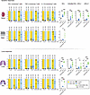 IN Mip3a/relMtb DNA fusion induces TB-protective immune responses when comb