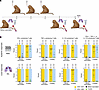 IN Mip3a/relMtb DNA fusion vaccine induces RelMtb-stimulated T cell respons