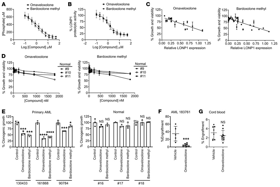 Chemical inhibition of the LONP1 AAA+ domain preferentially targets AML ...