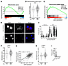 Mitochondrial protein import and the UPRmt are increased in a subset of pri