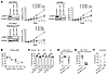 LONP1 is essential for a subgroup of AML cell lines and patient samples.