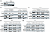 Systemic administration of LONP1 inhibitors reduces growth and increases mi