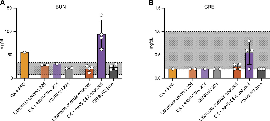 Serum markers of renal function.
Blood urea nitrogen (BUN) (A) and creat...