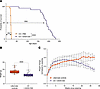 AAV9-CSA treatment increases life span and temporarily stabilizes the growt