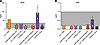 Serum markers of renal function.