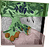 3D reconstruction of an RPE pseudopod reaching across the expanded subretin