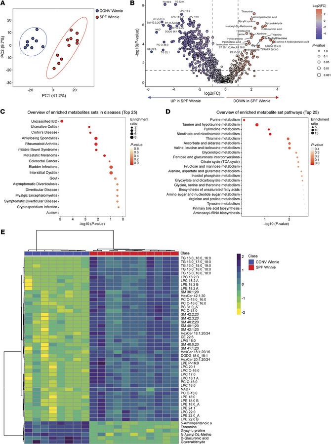 Metabolipidomics profiling of stool samples from 20-week-old SPF and CON...