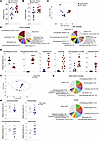 Microbiome composition differs in tumor-bearing SPF versus CONV Winnie mice