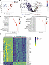 Metabolipidomics profiling of stool samples from 20-week-old SPF and CONV W