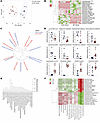 Shotgun analysis identifies bacterial strains and related pathways driving