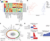 Integration of multiomics analyses shows a strong correlation between metab