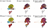 RNA velocity and CellRank analyses reveal altered cell-state dynamics in Se