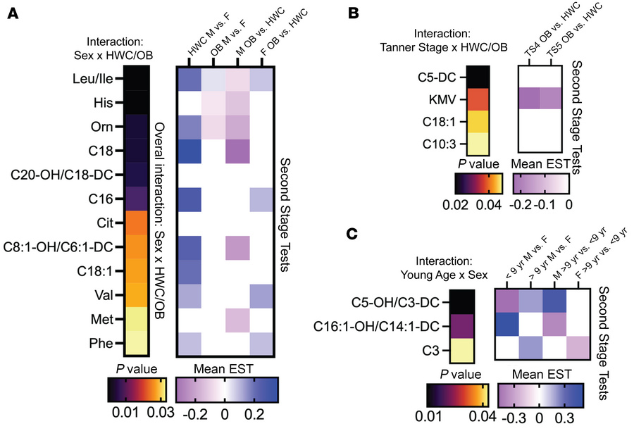 Sex-dependent differences in serum ketoacids are less evident in younger...